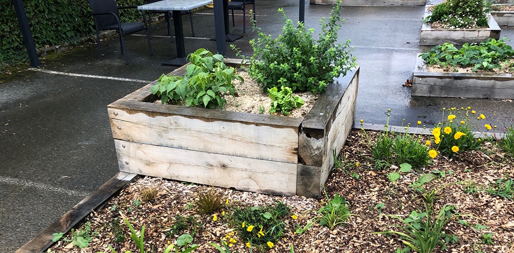 jardins alencon-espace vert